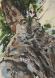 Under Boddhi Tree IV